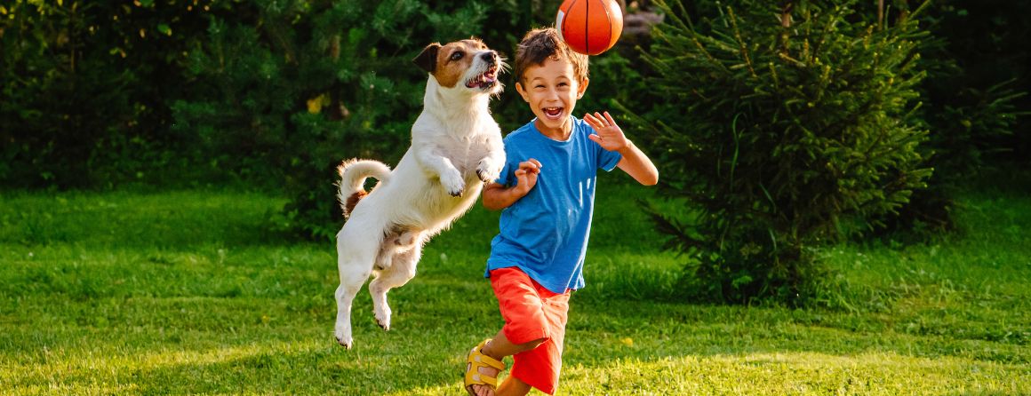 A child and a dog playing with a ball