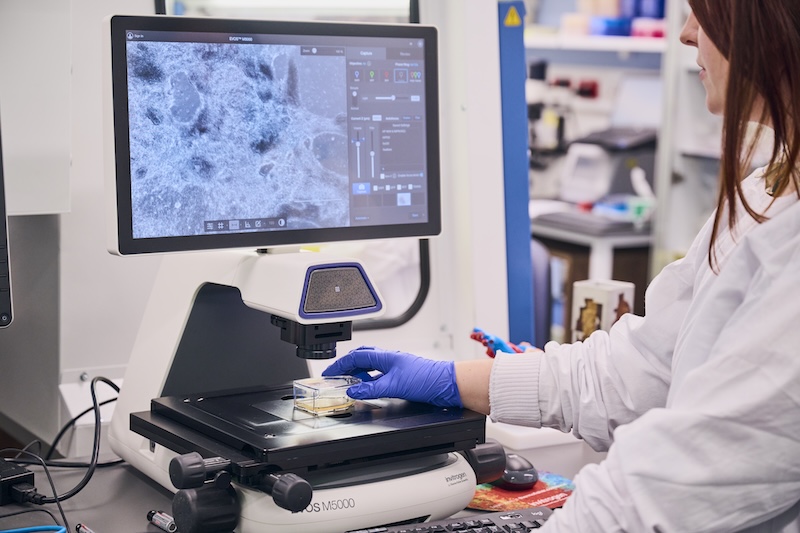 Researcher looking at stem cells on screen
