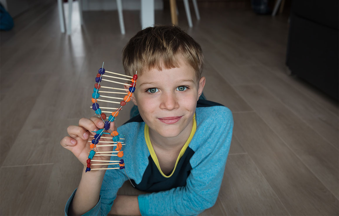 Boy holding genetic model toy
