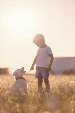 Boy with dog in a field