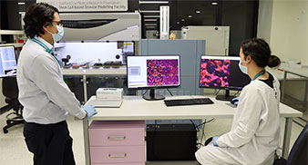 Researchers at the disease modelling facility