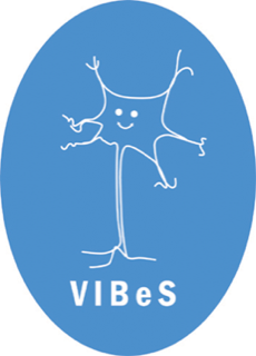 vibes original logo