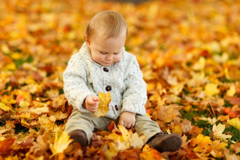 child in autumn leaves